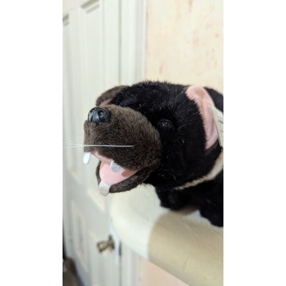 Windmill Toys Plush Australia Tassy Devil Stuffed Animal 12" Realistic Toy black - Picture 8 of 12